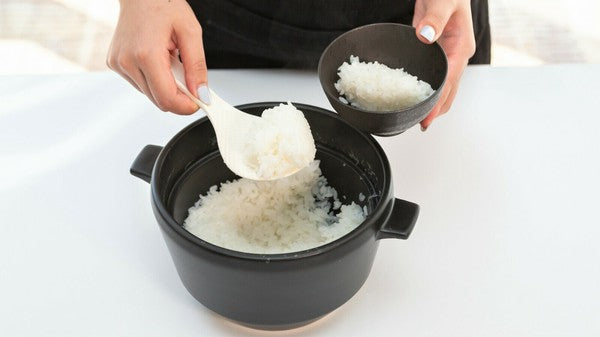 Ultimate rice pot HACHI 3 cup capacity Spill-proof All-purpose