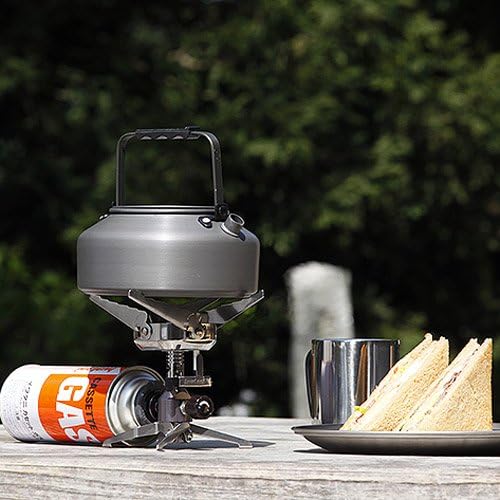 Iwatani Compact burner