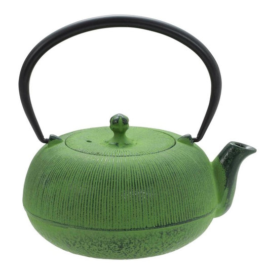 Nanbu Ironware Teapot Hiramaru Sensuji (Green)
