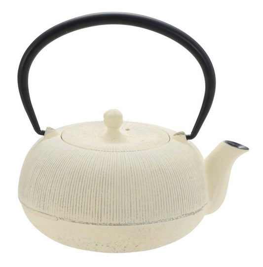 Nanbu Ironware Teapot Hiramaru Sensuji (Gold/White)
